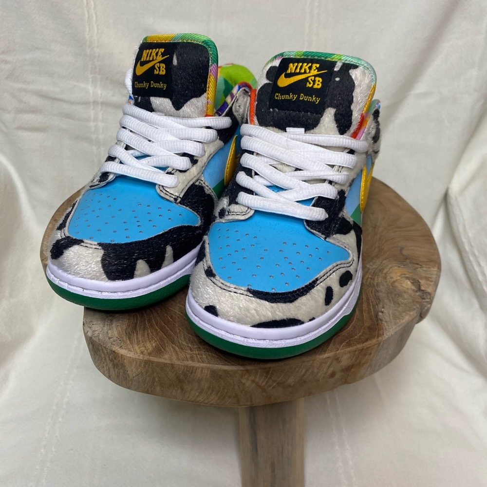 Nike SB Multicolor Sneakers